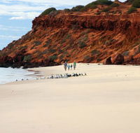 Herald Bight Camp at Francois Peron National Park - Sydney 4u