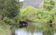 Greenlee Cottages - thumb 1