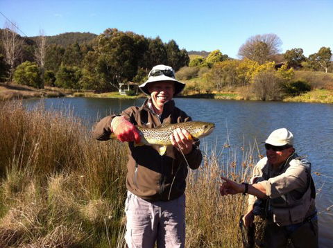 Jamieson Valley Retreat - Sydney 4u 1