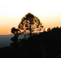 Bunya Mountains Accommodation Centre - Accommodation Sydney