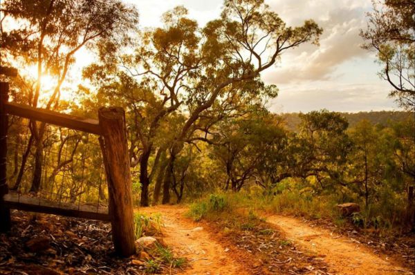 Blaxlands Ridge NSW Sydney 4u