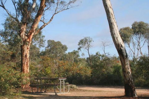 Drummonds Camp At Avon Valley National Park - Sydney 4u 0