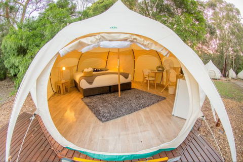 Yarra Valley Park Lane Glamping Belle Tents - Accommodation Sydney 8