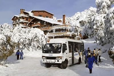 Alpine Holiday Rentals - Sydney Resort 2