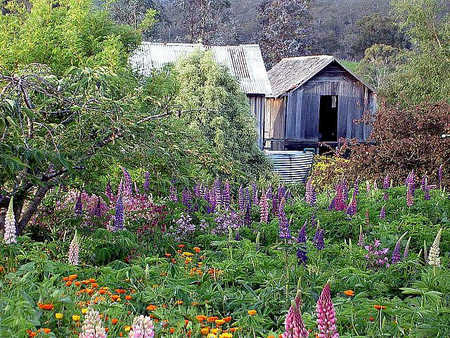 Hamlet Downs Country Accommodation - Sydney Resort 2