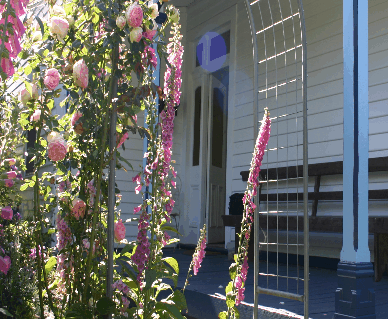 Devonport Bed And Breakfast - Sydney 4u