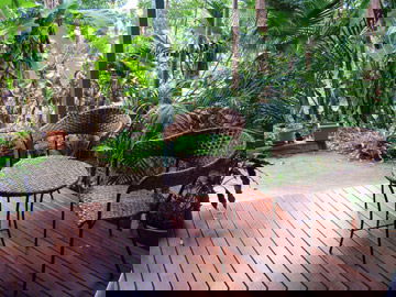Abbazia Rainforest Studio - Sydney 4u 3