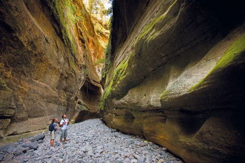 Carnarvon National Park Camping - Sydney 4u 4