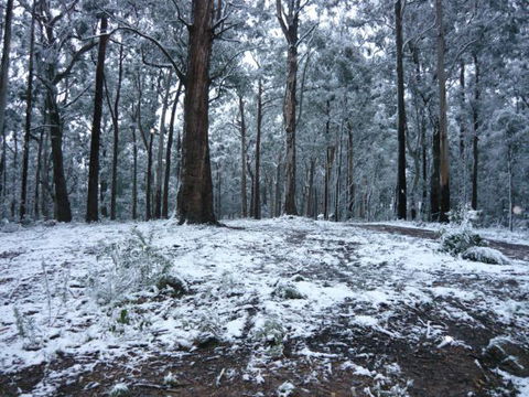 High Peaks Cottages - Accommodation Sydney 0