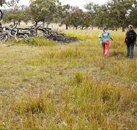 Carnarvon National Park camping - Sydney 4u