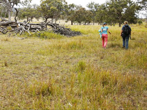 Carnarvon National Park Camping - Sydney 4u 0
