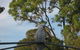 Winnamatta Guest House - thumb 5