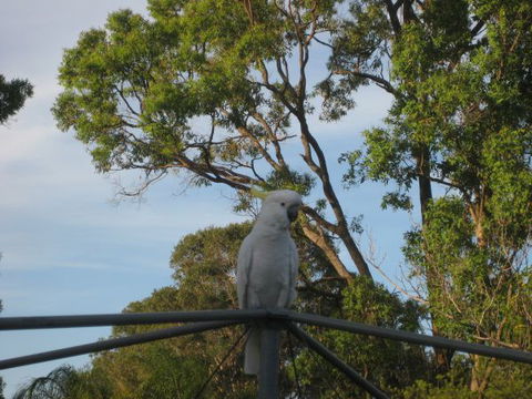 Winnamatta Guest House - Accommodation Sydney 5