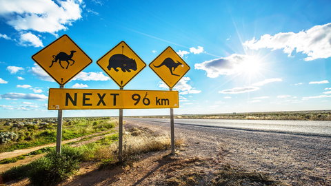 Nullarbor Roadhouse - Accommodation Sydney 0