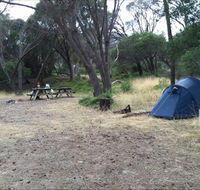 Allports Beach Camping Ground - Sydney 4u