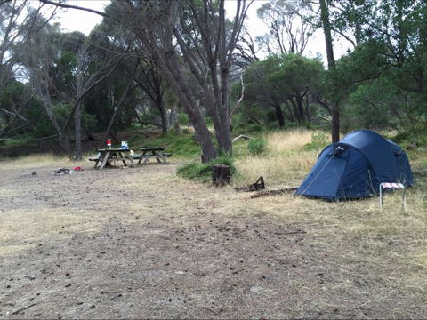 Allports Beach Camping Ground - Accommodation Sydney 0