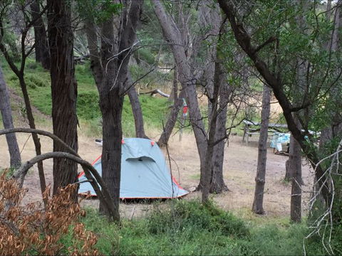 Allports Beach Camping Ground - Accommodation Sydney 5