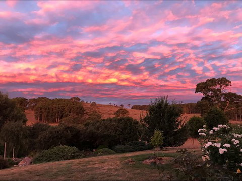 Avaleigh Elms Farmstay - Accommodation Sydney 5