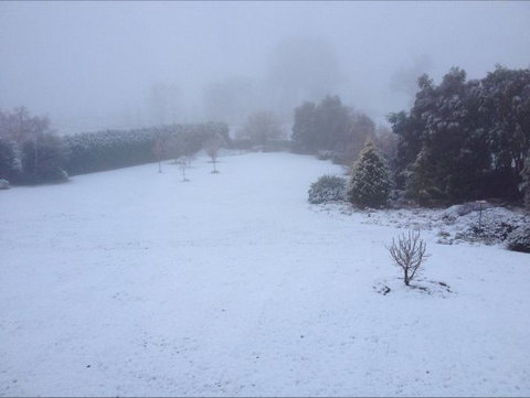 Avaleigh Elms Farmstay - Accommodation Sydney 6