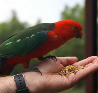 Barrington Tops Escapes - Sydney 4u