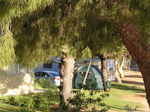 Barmera North Lake Caravan Park - Accommodation Sydney 0