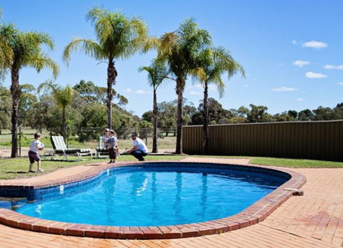 Barmera Country Club Motor Inn - Accommodation Sydney 3