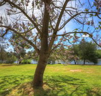 Breakaway Twin Rivers Caravan Park - Sydney 4u