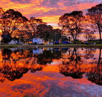 Coonawarra Bush Holiday Park - Accommodation Sydney