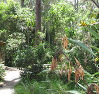Dunns Creek Downs Nature Stay - Accommodation Sydney
