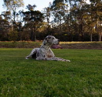 Hunter Valley Retreat - Sydney 4u