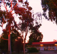 Murray Bridge Central Olympic Motel and Cottages - Accommodation Sydney