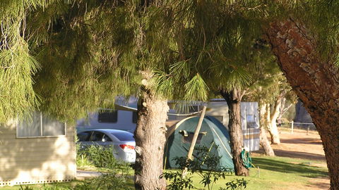 Barmera North Lake Caravan Park - Accommodation Sydney 4