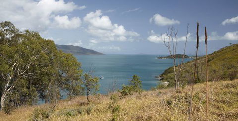 Molle Island National Park (Whitsundays National Park) Camping Ground - Accommodation Sydney 1