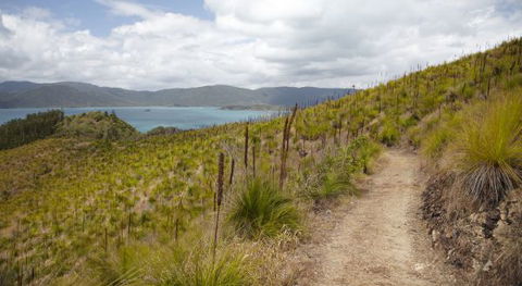 Molle Island National Park (Whitsundays National Park) Camping Ground - Accommodation Sydney 2