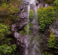 Nimbin waterfall retreat - Sydney 4u