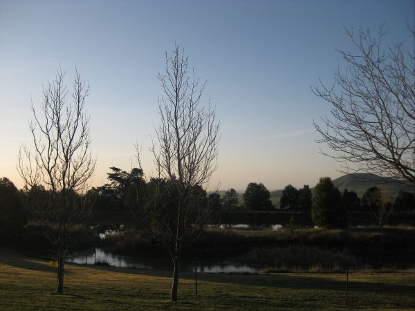 Blampied VIC Sydney 4u