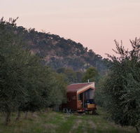 Shacky in the Olive Grove - Accommodation Sydney