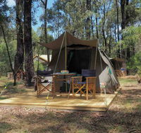 Tall Trees Camping on the Great Ocean Road - Accommodation Sydney