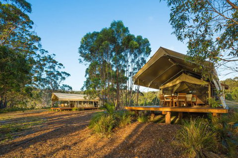 Tanja Lagoon Camp - Accommodation Sydney 0