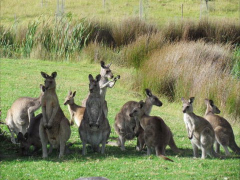 Tanja Lagoon Camp - Accommodation Sydney 6