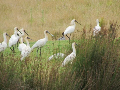Tanja Lagoon Camp - Accommodation Sydney 9