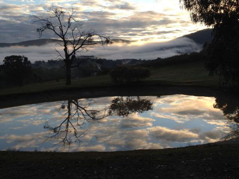 The Black Sparrow - Accommodation Sydney 1