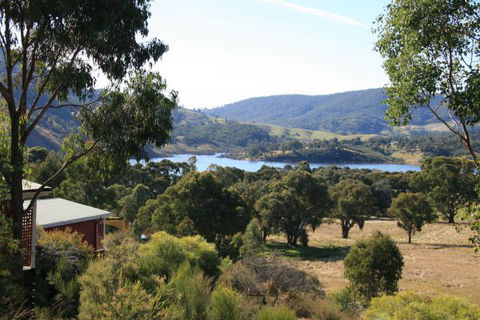 The Black Sparrow - Accommodation Sydney 2