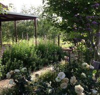 Wandana Bed and Breakfast - Sydney 4u