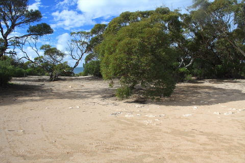 Acraman Creek Conservation Park Campgrounds - Sydney 4u 0