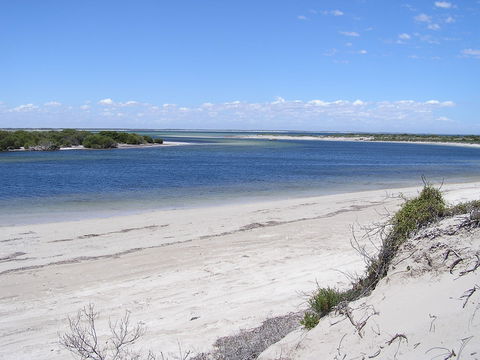 Acraman Creek Conservation Park Campgrounds - Sydney 4u 1