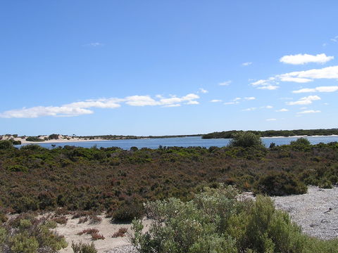 Acraman Creek Conservation Park Campgrounds - Sydney 4u 2