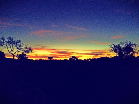 Barkly Homestead - Sydney 4u 7