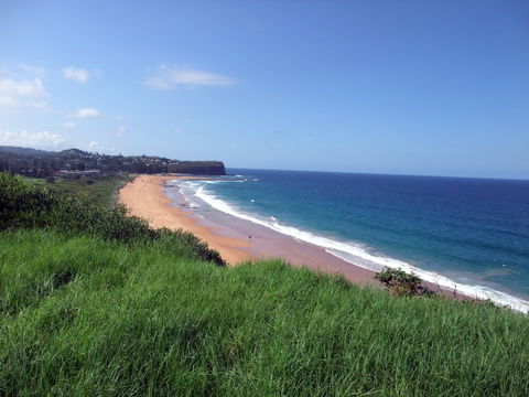 Beach Stay Mona Vale - Accommodation Sydney 6