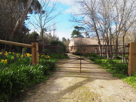 Blakiston Creamery - Sydney 4u 0
